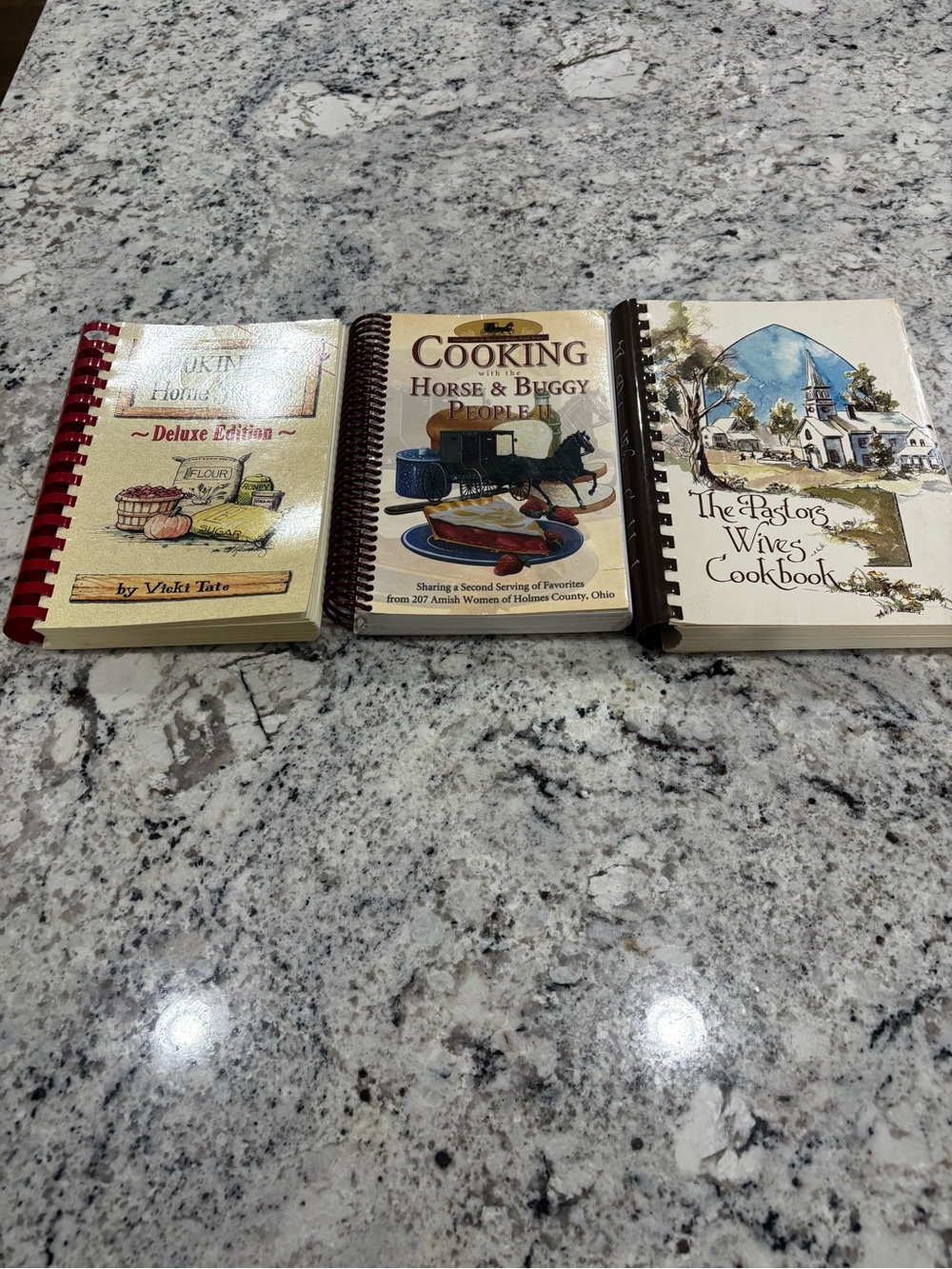 Vintage Community Cookbook Lot of 3 - Amish, Church & Home Storage Prep